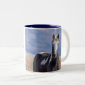 Abtrünniger, wilder Stallion Zweifarbige Tasse (VorderseiteRechts)