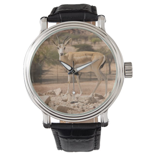 Abu Dhabi Armbanduhr (Vorderseite)