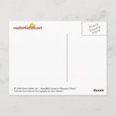 Abudefduf saxatilis (Sergeant Major) Postkarte (Rückseite)