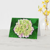 Abundant Hydrangea Scripture Card 1 Timothy 1:14 Karte (Gelbe Blume)