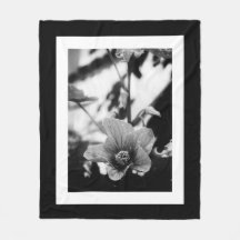 Abutilon Pictum Black and White Floral Fotografy