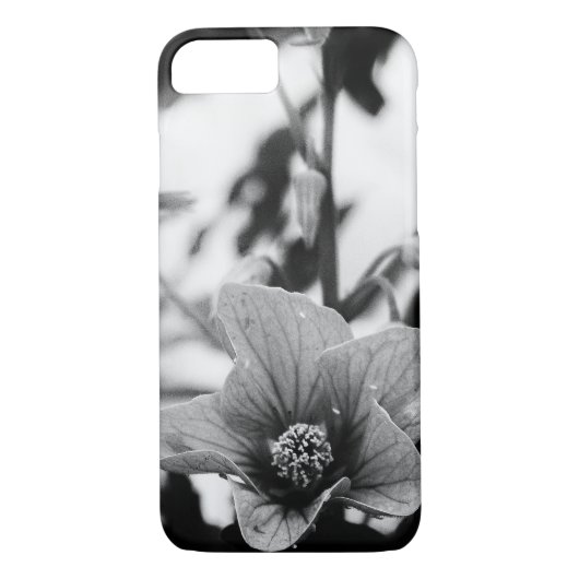 Abutilon Pictum Blume Schwarz-Weiß-Fotografie Case-Mate iPhone Hülle (Rückseite)