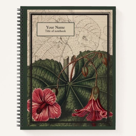 Abutilon Reverie Notebook Notizblock (Vorderseite)