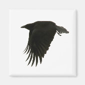 Abwärtsmagnet Magnet (Vorne)