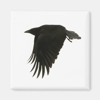 Abwärtsmagnet Magnet