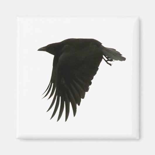 Abwärtsmagnet Magnet (Vorne)