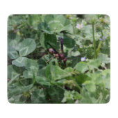 Abwaschanlage Schneidebrett (Vorderseite)