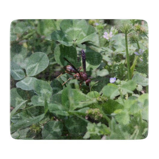 Abwaschanlage Schneidebrett (Vorderseite)