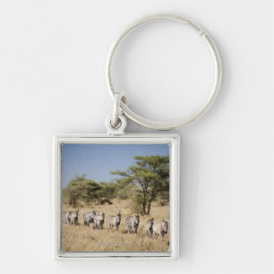 Abweichen Zebra, Tansania Schlüsselanhänger
