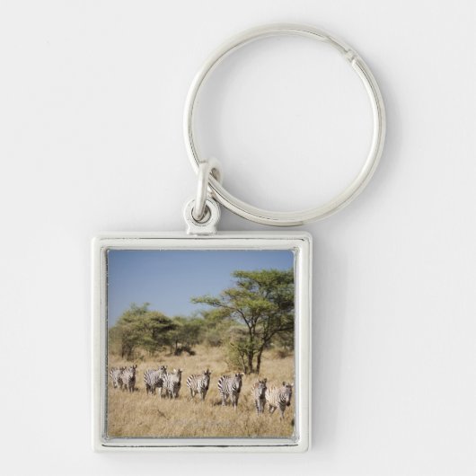 Abweichen Zebra, Tansania Schlüsselanhänger (Vorne)