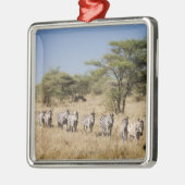 Abweichen Zebra, Tansania Silbernes Ornament (Links)