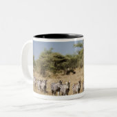 Abweichen Zebra, Tansania Zweifarbige Tasse (Vorderseite Links)