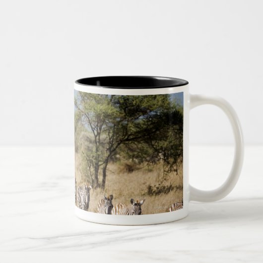 Abweichen Zebra, Tansania Zweifarbige Tasse (Rechts)