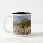 Abweichen Zebra, Tansania Zweifarbige Tasse (Links)