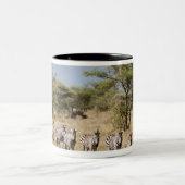 Abweichen Zebra, Tansania Zweifarbige Tasse (Mittel)