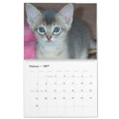 Aby Kittens Cat Calendar Kalender (Feb 2027)