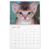 Aby Kittens Cat Calendar Kalender (Jan 2027)