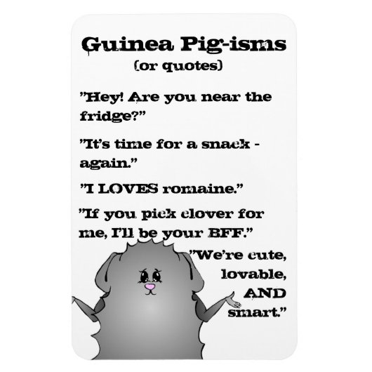 Abysinianische Guinea Schweinefleisch Redewendunge Magnet (Vertikal)