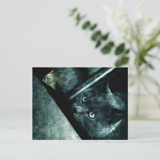 Abyss cat - Postkarte (Stehend Vorderseite)