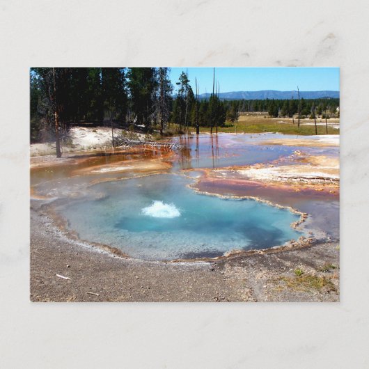 Abyss Pool Hot Springs Yellowstone Nationalpark Postkarte (Vorderseite)
