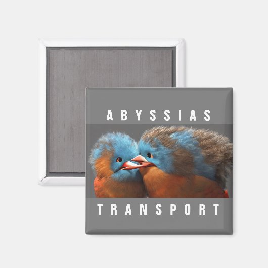 ABYSSIAS_TRANSPORT MAGNET (Vorderseite/Rückseite)