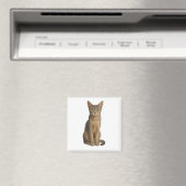 Abyssinian Blue Cat Magnet (In Situ (Geschirrspüler))
