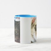 Abyssinian Blue Male Cat Tasse (Zentrum)