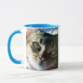 Abyssinian Blue Male Cat Tasse (Links)