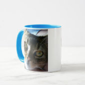 Abyssinian Blue Male Cat Tasse (Vorderseite Links)