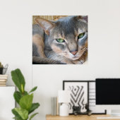 Abyssinian Cat Big Blue Green Eyes Poster (Heimbüro)
