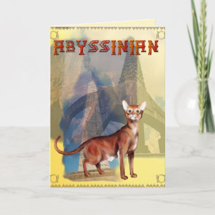 Abyssinian Cat Card Karte