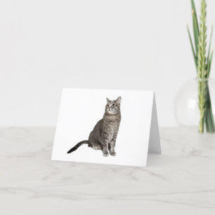 Abyssinian Cat Danke-Card Feiertagskarte