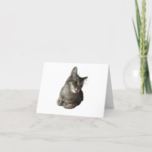 Abyssinian Cat Danke-Card Feiertagskarte