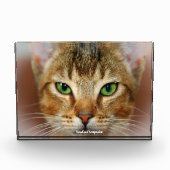 Abyssinian Cat Fotoblock (Vorderseite)