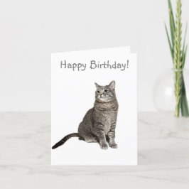 Abyssinian Cat Geburtstagskarte Dankeskarte