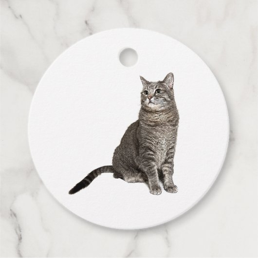 Abyssinian Cat Geschenkanhänger (Vorderseite)