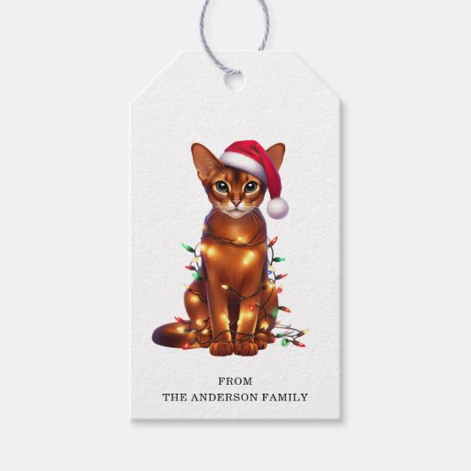 Abyssinian Cat Gift Tags Geschenkanhänger (Vorderseite)