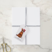 Abyssinian Cat Gift Tags Geschenkanhänger (Mit Garn)
