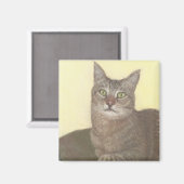 Abyssinian Cat Magnet (Vorderseite/Rückseite)