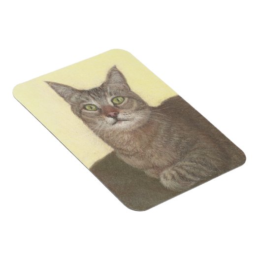 Abyssinian Cat Magnet (Rechte Seite)