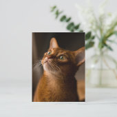 Abyssinian Cat Postkarte (Stehend Vorderseite)