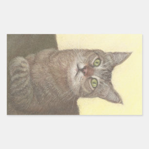 Abyssinian Cat Rechteckige Aufkleber