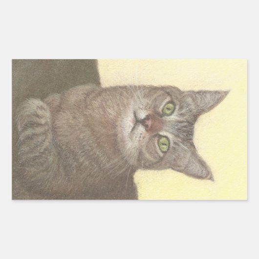 Abyssinian Cat Rechteckige Aufkleber (Vorderseite)