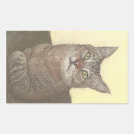 Abyssinian Cat Rechteckige Aufkleber