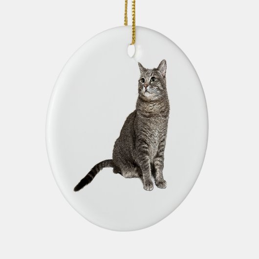 Abyssinian Cat Round Ornament (Rechts)