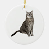 Abyssinian Cat Round Ornament (Vorne)