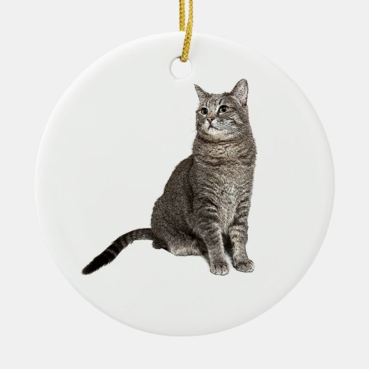 Abyssinian Cat Round Ornament (Vorne)