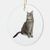 Abyssinian Cat Round Ornament (Links)