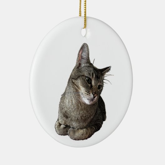 Abyssinian Cat Round Ornament (Rechts)