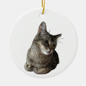 Abyssinian Cat Round Ornament (Vorne)